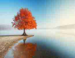 vue 自﻿动​部‍署​